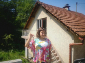 Small house in Celje Celje